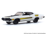 1970 Ford Torino GT 429 SCJ 1:64 M2 Machines diecast scale car collectible